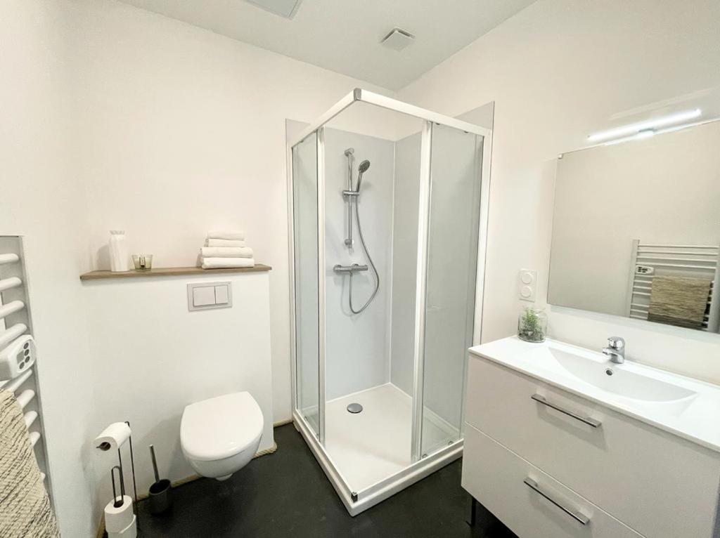 Apartamento Le Chic - Parking - Exterieur - Fibre - Calme Mont de Marsan Exterior foto